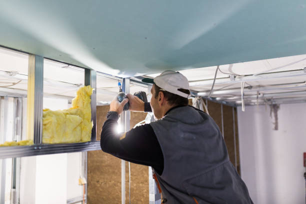 Best Residential Insulation in Emerald Lake Hills, CA